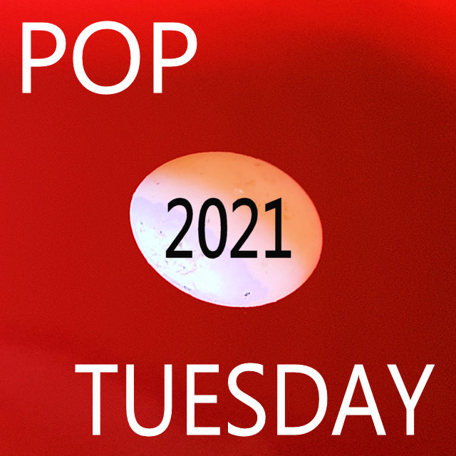 Indie Pop 2021 on Spotify