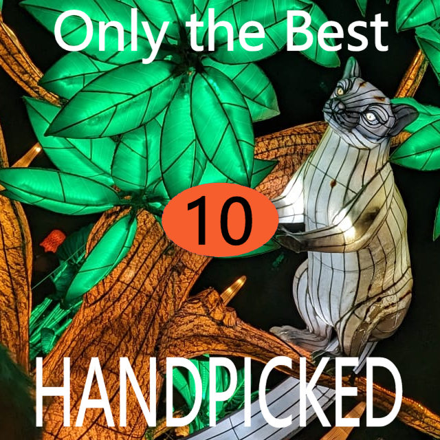 10 handpicked