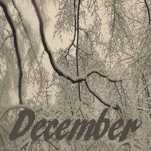 December 2013 daily songs