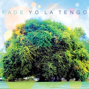 Yo La Tenfo on Spotify