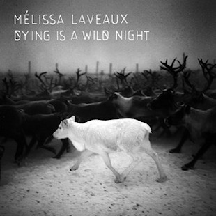 Melissa Laveaux on Spotify