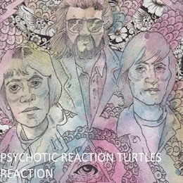 Psychotic Reaction on Spotify