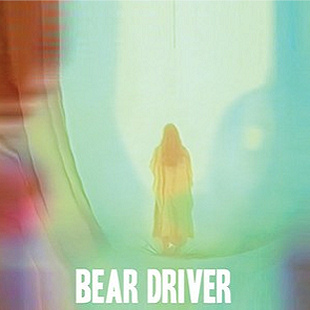 Bear Driver